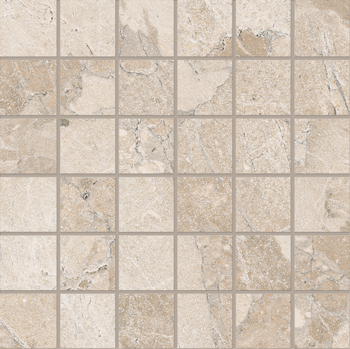 DEMTS 02 Mosaic