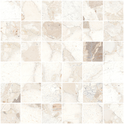 DSAV 02 Mosaic