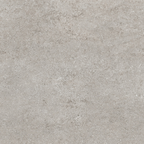 DCSNF 03 Fossil