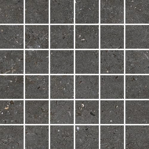 DLBF 07 Mosaic