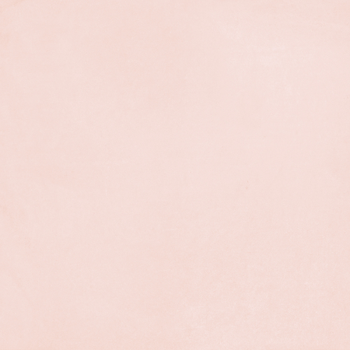 DFZF 02