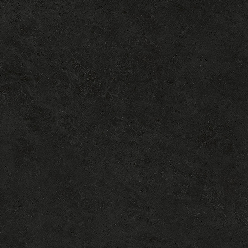 DLBFS 07