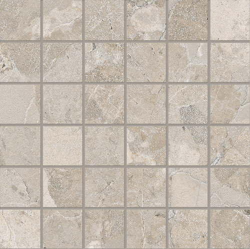 DEMTS 03 Mosaic
