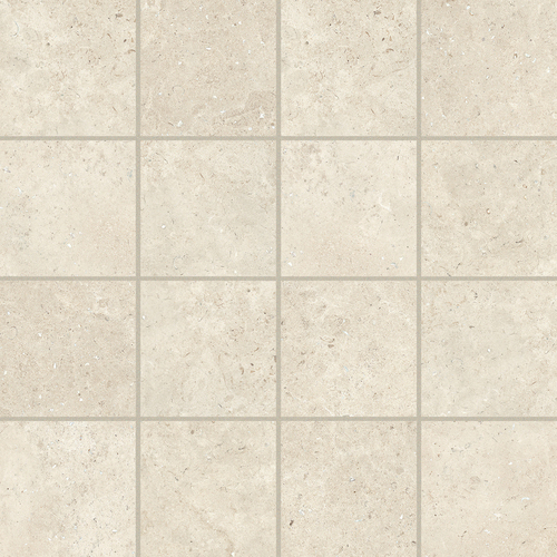 DMAG 89 Mosaic