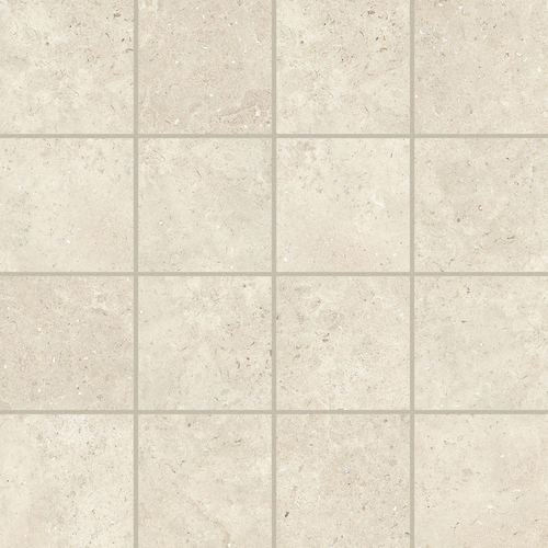 DMAG 89 Mosaic
