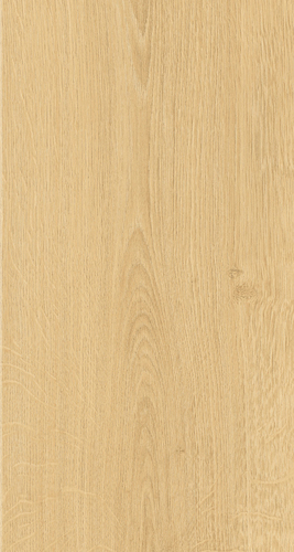 ELPE 482