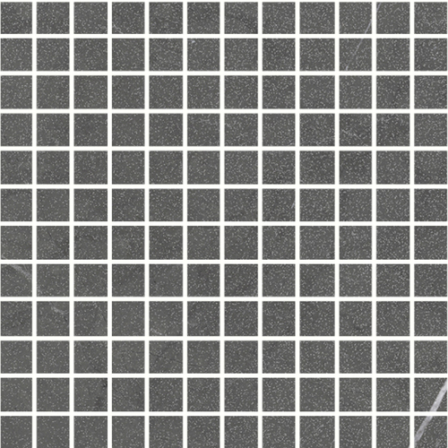 DLRE 04 Mosaic
