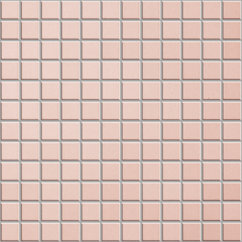 ANT 03 Mosaic