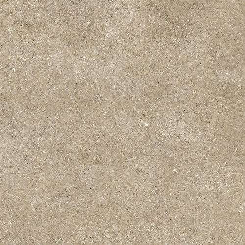 DCSNF 04 Fossil