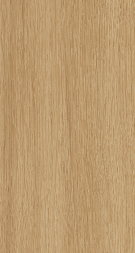 ELPE 384