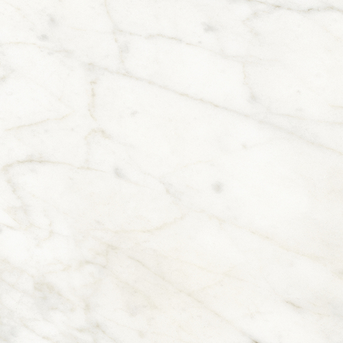 DMAG 88