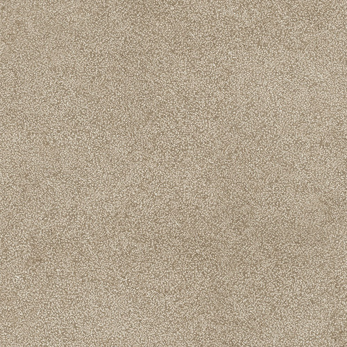 DMAG 186 Lithos