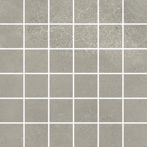 DLGF 06 Mosaic