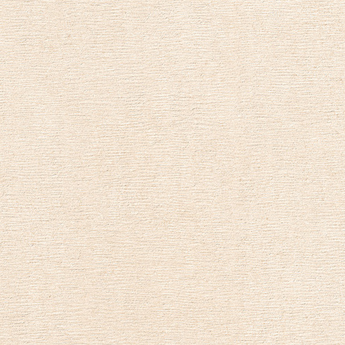DLGL 01 Brush