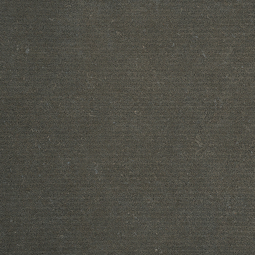 DMAG 306 Décor