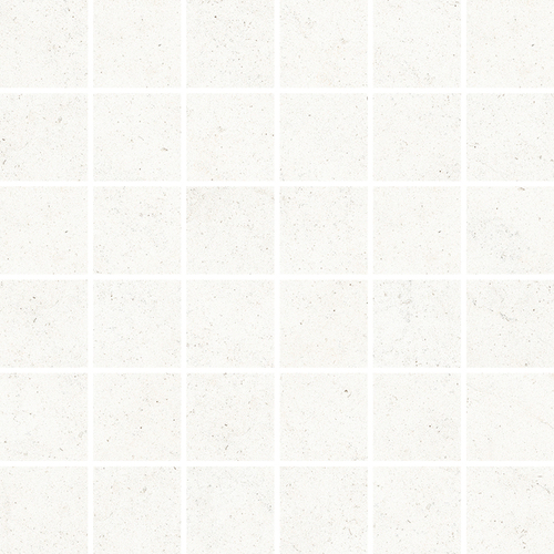 DLBF 08 Mosaic