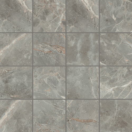 DMAG 95 Mosaic