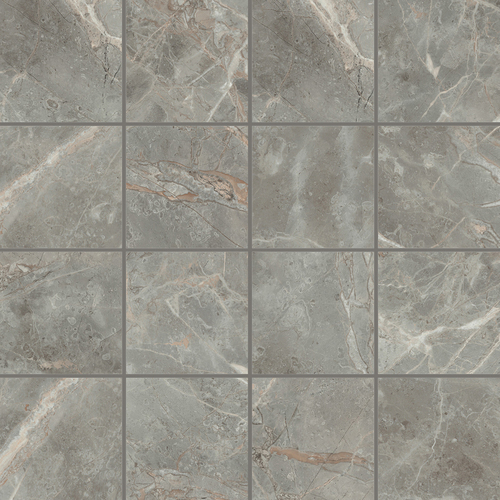 DMAG 95 Mosaic