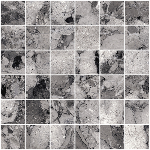 DSAV 05 Mosaic