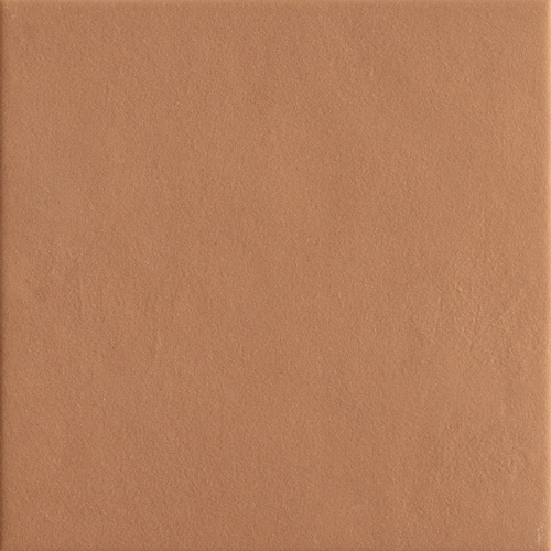 DTCD 13