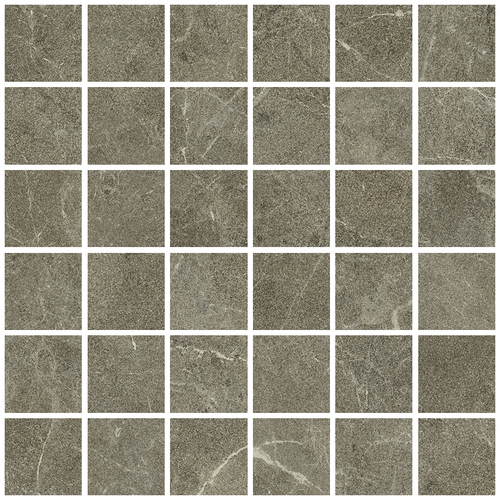 DLVN 03 Mosaic