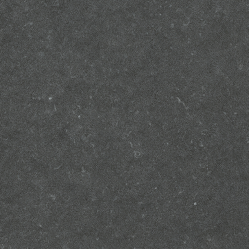 DLON 04