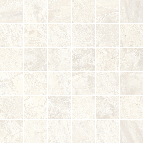 DSPA 02 Mosaic