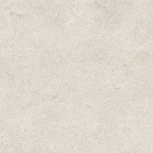 DCSNF 01 Fossil