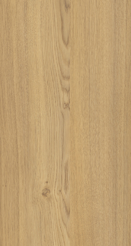 ELPE 604