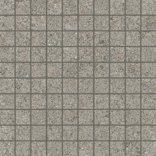 DFSN 04 Mosaic