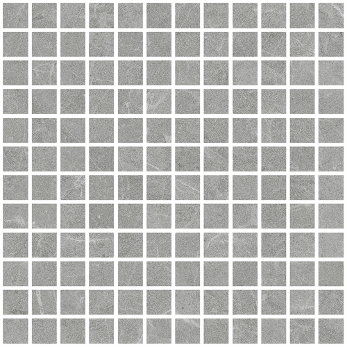 DLVN 02 Mosaic