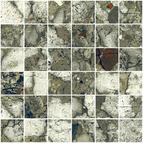 DSAV 07 Mosaic