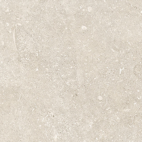 DLDA 02