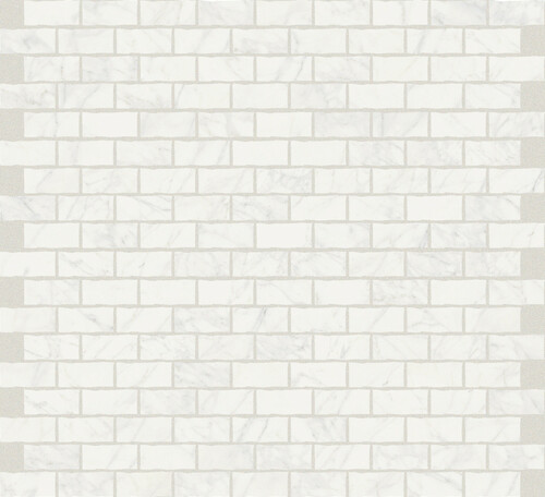 DMAG 88 Mosaic