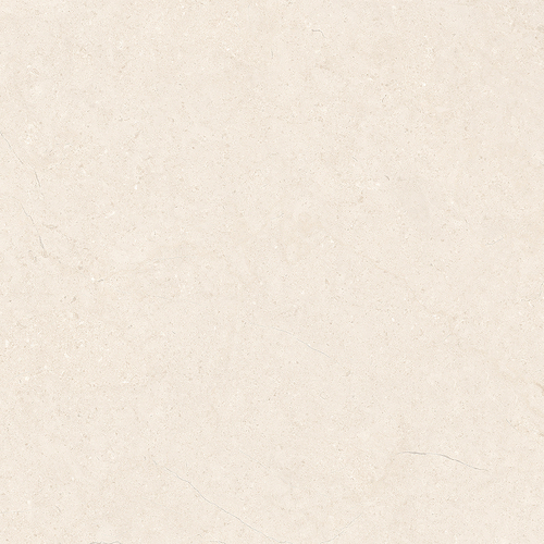 DASN 02