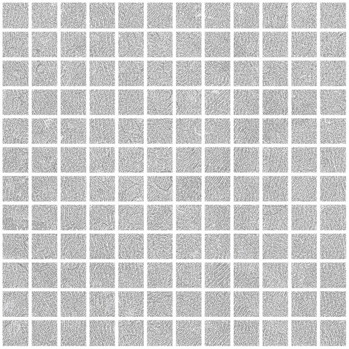 DLON 02 Mosaic