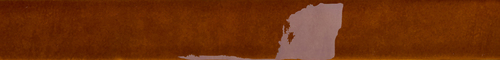DFZBG 04